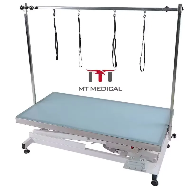 Portable Foldable Electric Dog Grooming Table, Height Adjustable Veterinary Grooming Station With Safety Protection
Portable Foldable Electric Dog Grooming Table, Height Adjustable Veterinary Grooming Station With Safety Protection