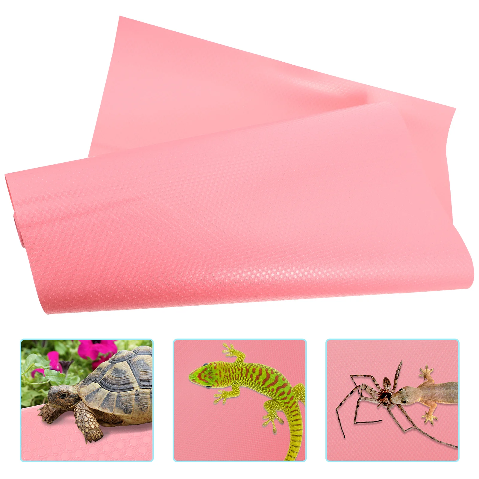 Animal Crawling Blanket Snake Cage Accessories Reptile Carpet Glass Bearded Dragon Tank Supplies Gecko Pink
Animal Crawling Blanket Snake Cage Accessories Reptile Carpet Glass Bearded Dragon Tank Supplies Gecko Pink