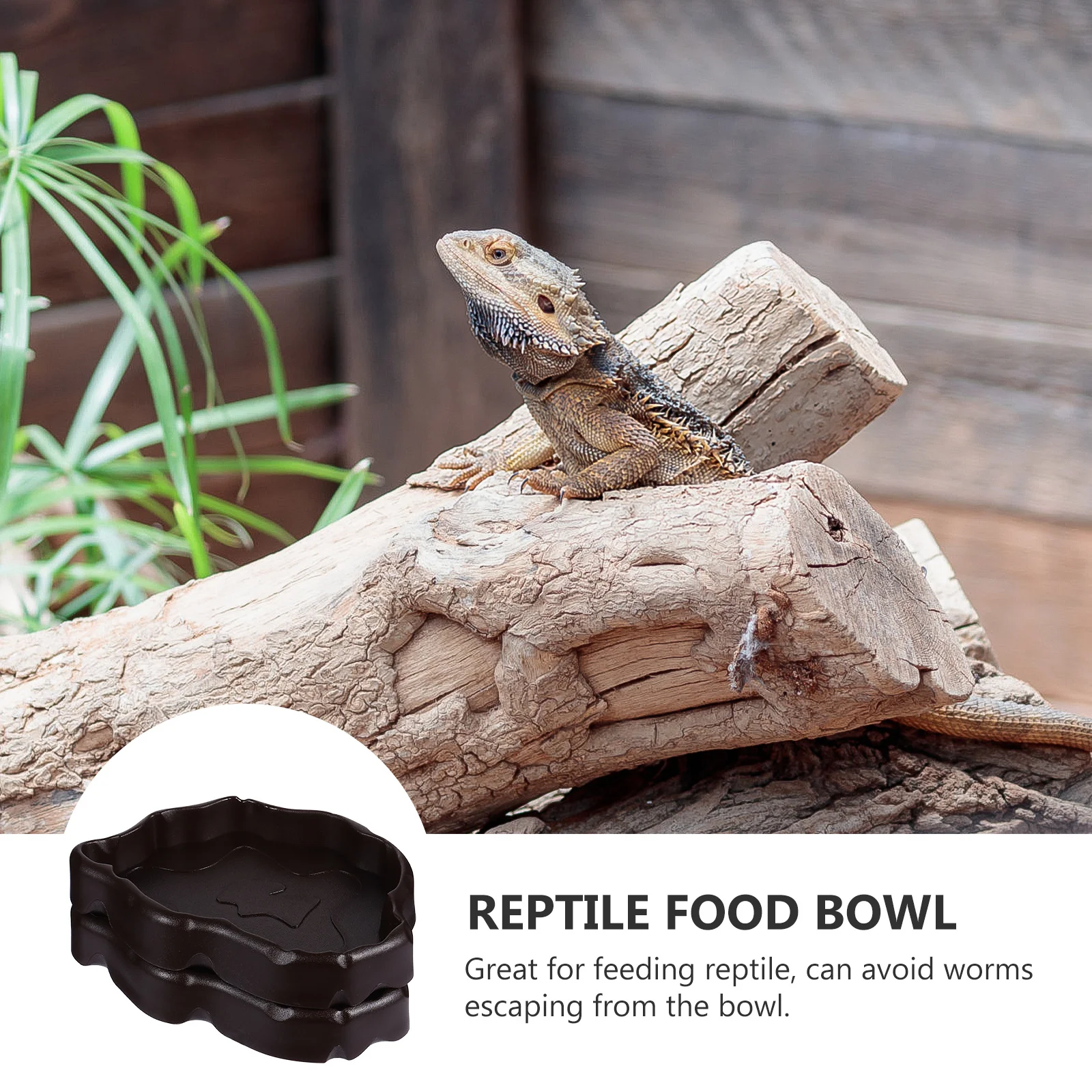 2Pcs Reptile Bowls Durable Nonporous Gecko Feeding Water Dish Tortoise Lizard Pet Cage Feeder Safe Reptile Food Tray
2Pcs Reptile Bowls Durable Nonporous Gecko Feeding Water Dish Tortoise Lizard Pet Cage Feeder Safe Reptile Food Tray