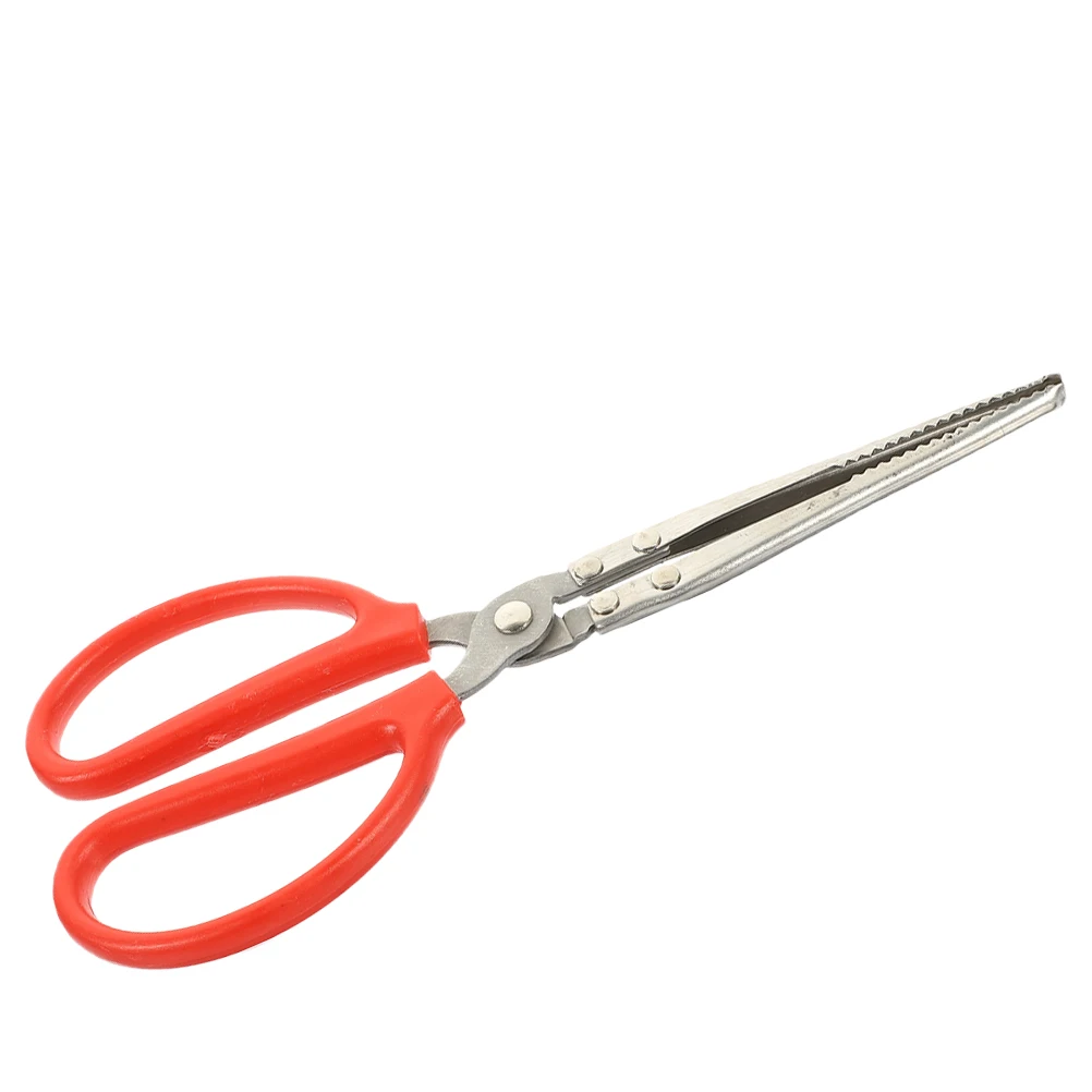 Sturdy 30cm Stainless Steel Seafood Tongs Non-Slip Design Wide Usage Crab Grabber Tool Practical Kitchen Barware
Sturdy 30cm Stainless Steel Seafood Tongs Non-Slip Design Wide Usage Crab Grabber Tool Practical Kitchen Barware