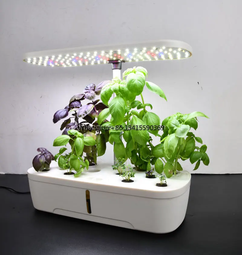 Hot Selling 3,6,8 or 12 Pods Indoor Hydroponic Growing System Automatic With CE Approved Good Quality
Hot Selling 3,6,8 or 12 Pods Indoor Hydroponic Growing System Automatic With CE Approved Good Quality