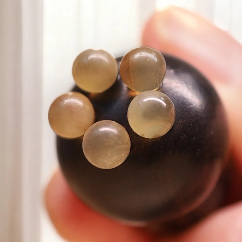 Gourd Shape Sandalwood Lotus Seedpod Massager Five Beads Design Face Lifting and Tightening Eye Massage Stick Reduce Puffiness
Gourd Shape Sandalwood Lotus Seedpod Massager Five Beads Design Face Lifting and Tightening Eye Massage Stick Reduce Puffiness
