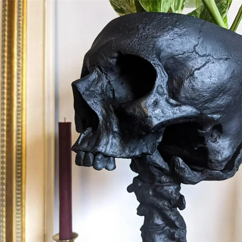 ABIYY-Resin Skull Planter & Spine Stand Set, Polyresin Skulls Pot, Halloween Decoration Retro Human Skull Head Flower, Black
ABIYY-Resin Skull Planter & Spine Stand Set, Polyresin Skulls Pot, Halloween Decoration Retro Human Skull Head Flower, Black