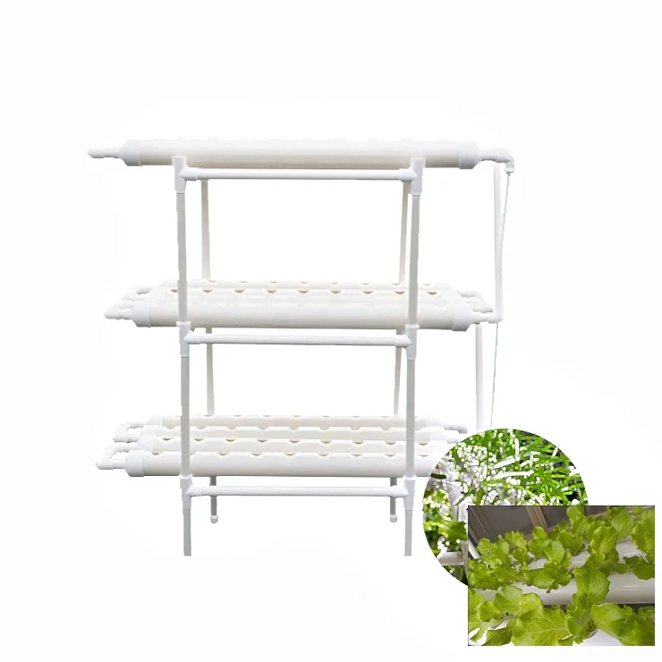 Home Garden Hydroponic Plant Rack Grow Box Indoor Plant Growing Systems for Vegetables and Herbs
Home Garden Hydroponic Plant Rack Grow Box Indoor Plant Growing Systems for Vegetables and Herbs