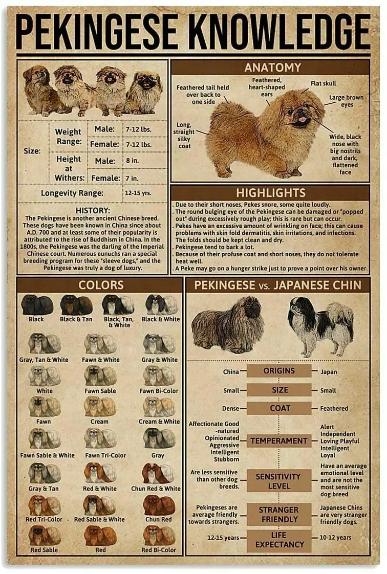 Pekingese Knowledge Bar Retro Tin Sign Coffee Shop Club Metal Sign 8x12 Inch Garage Wall Decoration Plaque
Pekingese Knowledge Bar Retro Tin Sign Coffee Shop Club Metal Sign 8x12 Inch Garage Wall Decoration Plaque