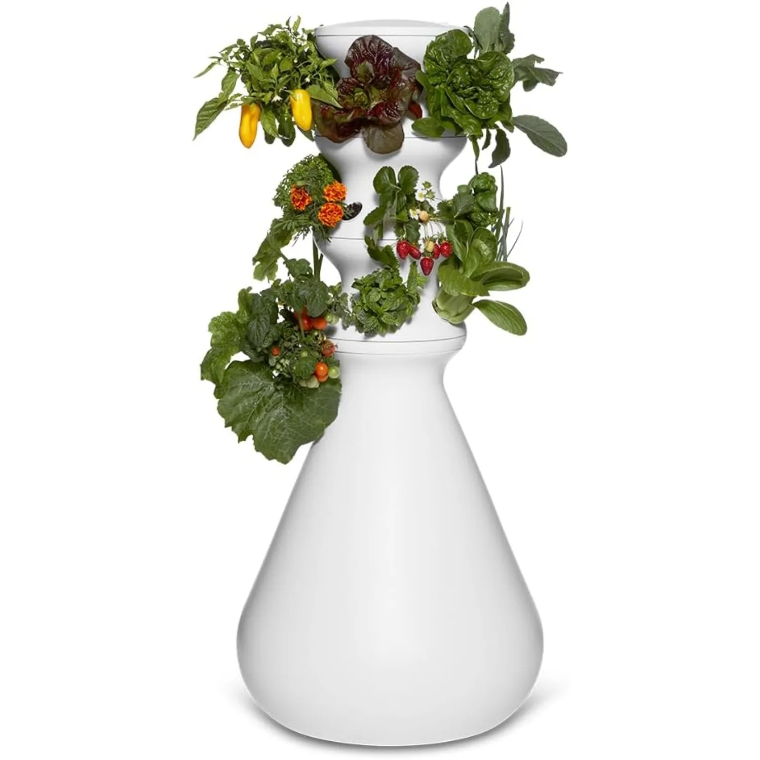 Стартовый комплект Farmstand + саженцы, небольшая гидропонная система выращивания, самополивающаяся наружная фотобашня
Стартовый комплект Farmstand + саженцы, небольшая гидропонная система выращивания, самополивающаяся наружная фотобашня