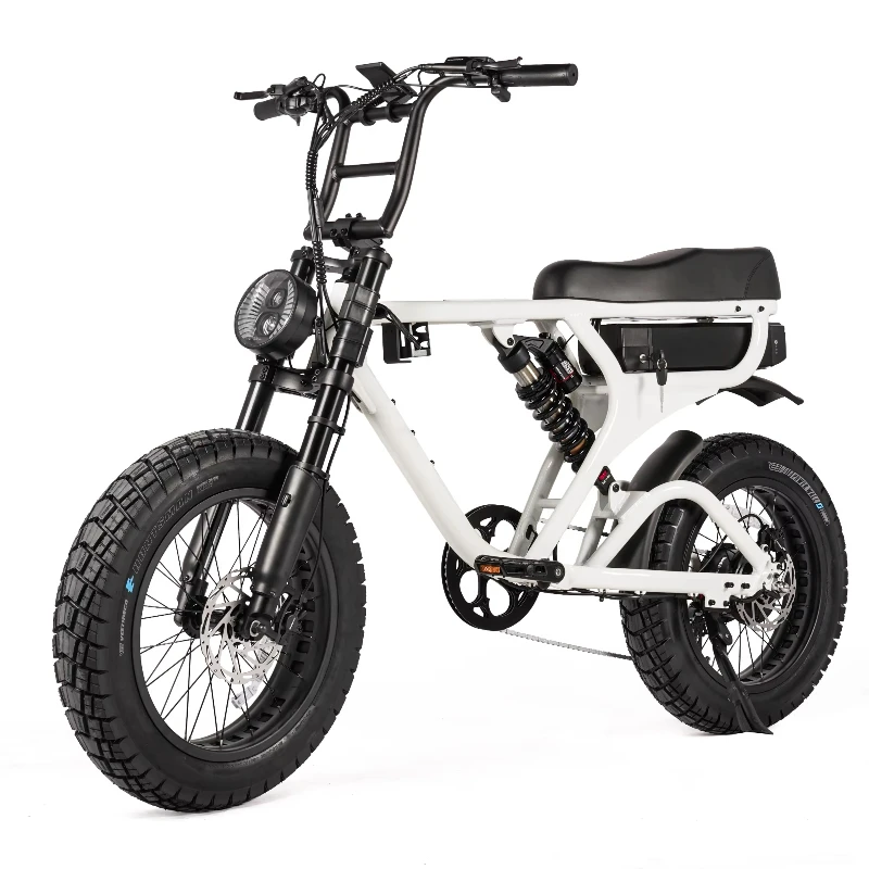 powerful 48V 20Ah electric snow bike with a removable battery is ideal for all-terrain use and winter adventures
powerful 48V 20Ah electric snow bike with a removable battery is ideal for all-terrain use and winter adventures