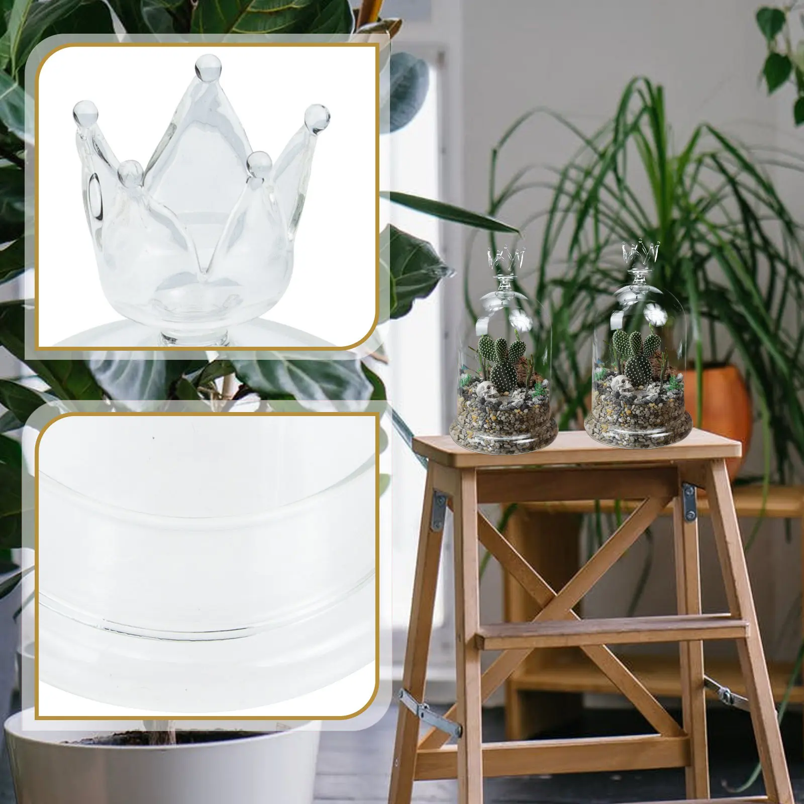Glass Dome Preserved Flower Cover Decorative Display Case for Immortal Flowers Compact Size Desktop Home Garden Decoration Vivid
Glass Dome Preserved Flower Cover Decorative Display Case for Immortal Flowers Compact Size Desktop Home Garden Decoration Vivid