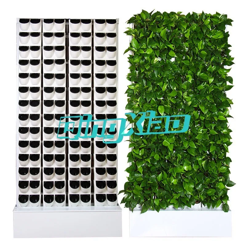 Vertical Modular Hydroponic Plant Wall With Water Circulation Automatic Irrigation For Indoor Outdoor 2m Green Plant Cultivation
Vertical Modular Hydroponic Plant Wall With Water Circulation Automatic Irrigation For Indoor Outdoor 2m Green Plant Cultivation