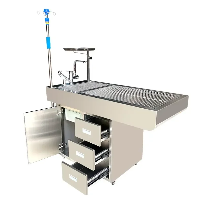 Multi-Functional Veterinary Surgical Treatment Table for Essential Simple Diagnoses Instruments CE Certified 1200x600x880mm
Multi-Functional Veterinary Surgical Treatment Table for Essential Simple Diagnoses Instruments CE Certified 1200x600x880mm