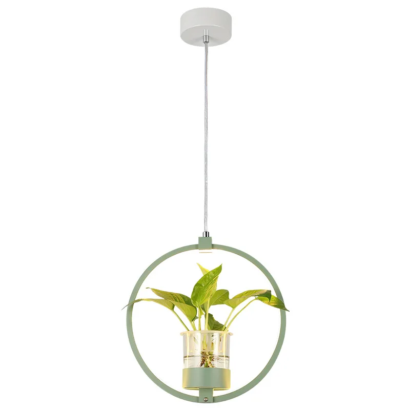 Nordic Plant Chandelier Acrylic Bar Small Chandelier Creative Personality Restaurant Shop Commercial Industrial Style Decoration
Nordic Plant Chandelier Acrylic Bar Small Chandelier Creative Personality Restaurant Shop Commercial Industrial Style Decoration
