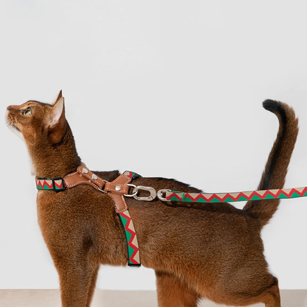 Small Dog Harness Collar and Leash Set Adjustable No Pull Pet Harnesses No Chock Soft Mesh Step in Vest for Puppy Medium pets
Small Dog Harness Collar and Leash Set Adjustable No Pull Pet Harnesses No Chock Soft Mesh Step in Vest for Puppy Medium pets