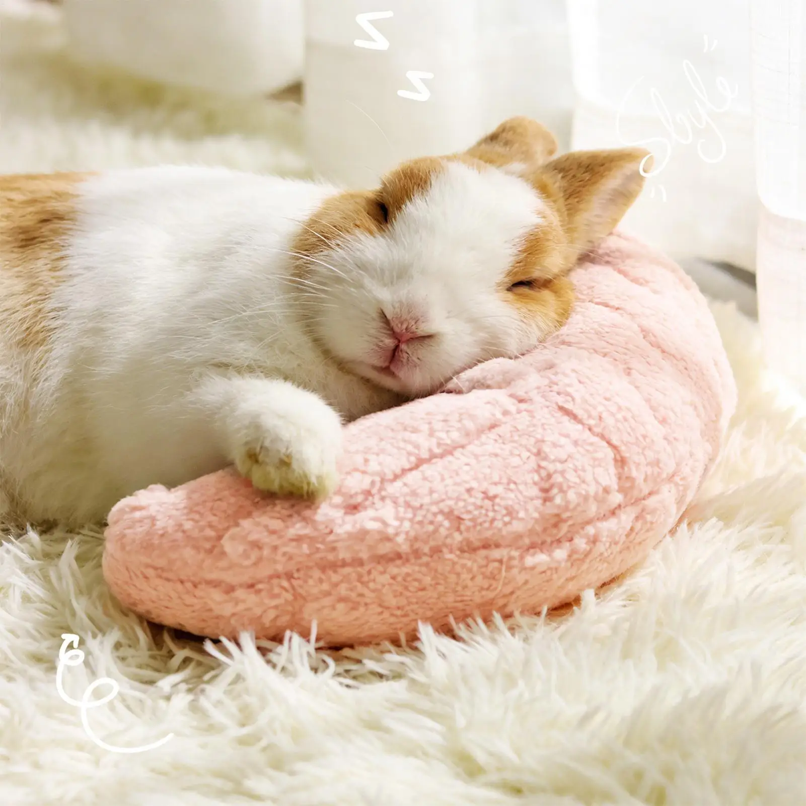 Pet Little Pillow Fashion Neck Protector Deep Sleep Puppy Kitten U-Shaped Pillow Dog Cat Headrest Sleeping Pets Supplies
Pet Little Pillow Fashion Neck Protector Deep Sleep Puppy Kitten U-Shaped Pillow Dog Cat Headrest Sleeping Pets Supplies