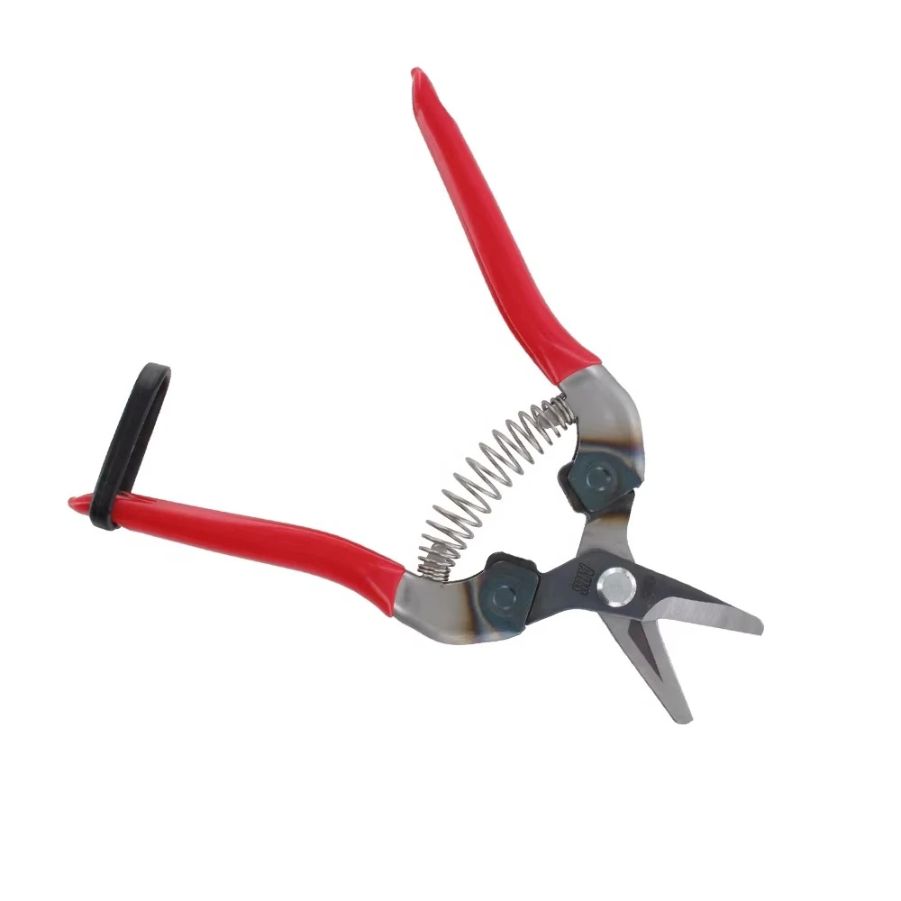 ARS310 Lightweight Elbow Pruning Flower Bud Pruning Orchard Picking Horticultural Pruning Shears
ARS310 Lightweight Elbow Pruning Flower Bud Pruning Orchard Picking Horticultural Pruning Shears