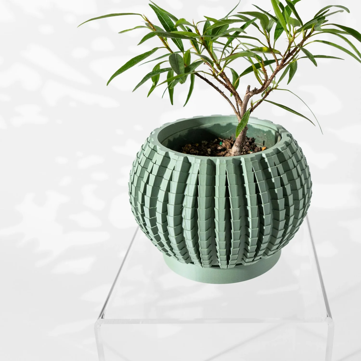 Modern Minimalist 3D Printed Plant Pot – Biodegradable Flower Planter for Home Decor, Eco-Friendly Sustainable Gift (Uralo)
Modern Minimalist 3D Printed Plant Pot – Biodegradable Flower Planter for Home Decor, Eco-Friendly Sustainable Gift (Uralo)