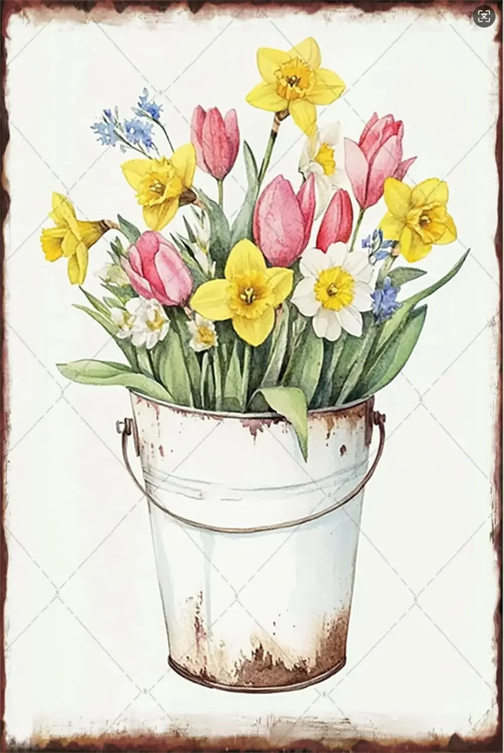 1d,Daffodil Flower Sign Spring Decor Daffodil Floral Bouquet Metal Tin Signs Garden Spring Flowers Wall Decor For Plant Lovers
1d,Daffodil Flower Sign Spring Decor Daffodil Floral Bouquet Metal Tin Signs Garden Spring Flowers Wall Decor For Plant Lovers