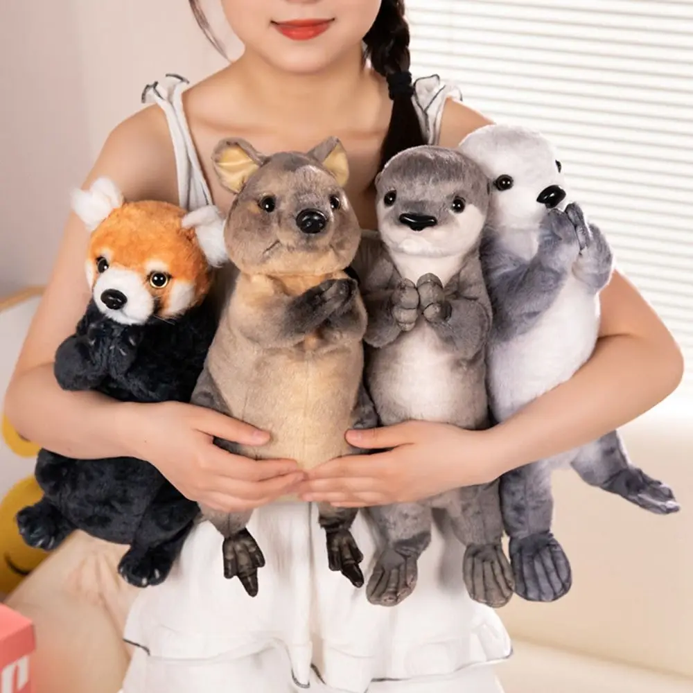 Thank for Blessing Sea Otter Plush Short-Tailed Bless Luck Animal Plush Doll Lifelike Cute Cartoon Stuffed Red Panda
Thank for Blessing Sea Otter Plush Short-Tailed Bless Luck Animal Plush Doll Lifelike Cute Cartoon Stuffed Red Panda