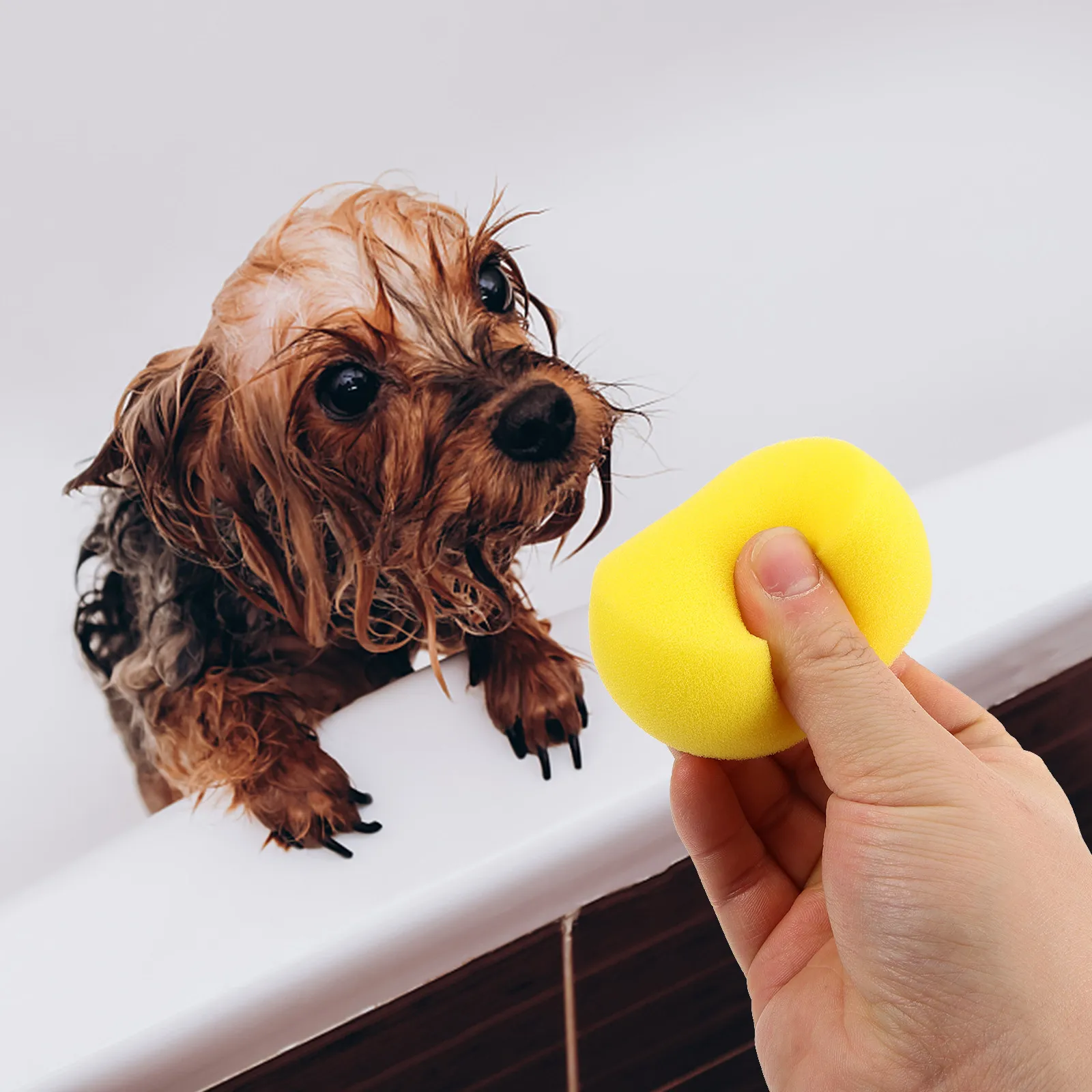 5Pcs Pet Bathing Sponge High Foam Dog Shower Scrubber Puppy Massage Cleaning Tool Portable Lightweight Reliable Quality
5Pcs Pet Bathing Sponge High Foam Dog Shower Scrubber Puppy Massage Cleaning Tool Portable Lightweight Reliable Quality