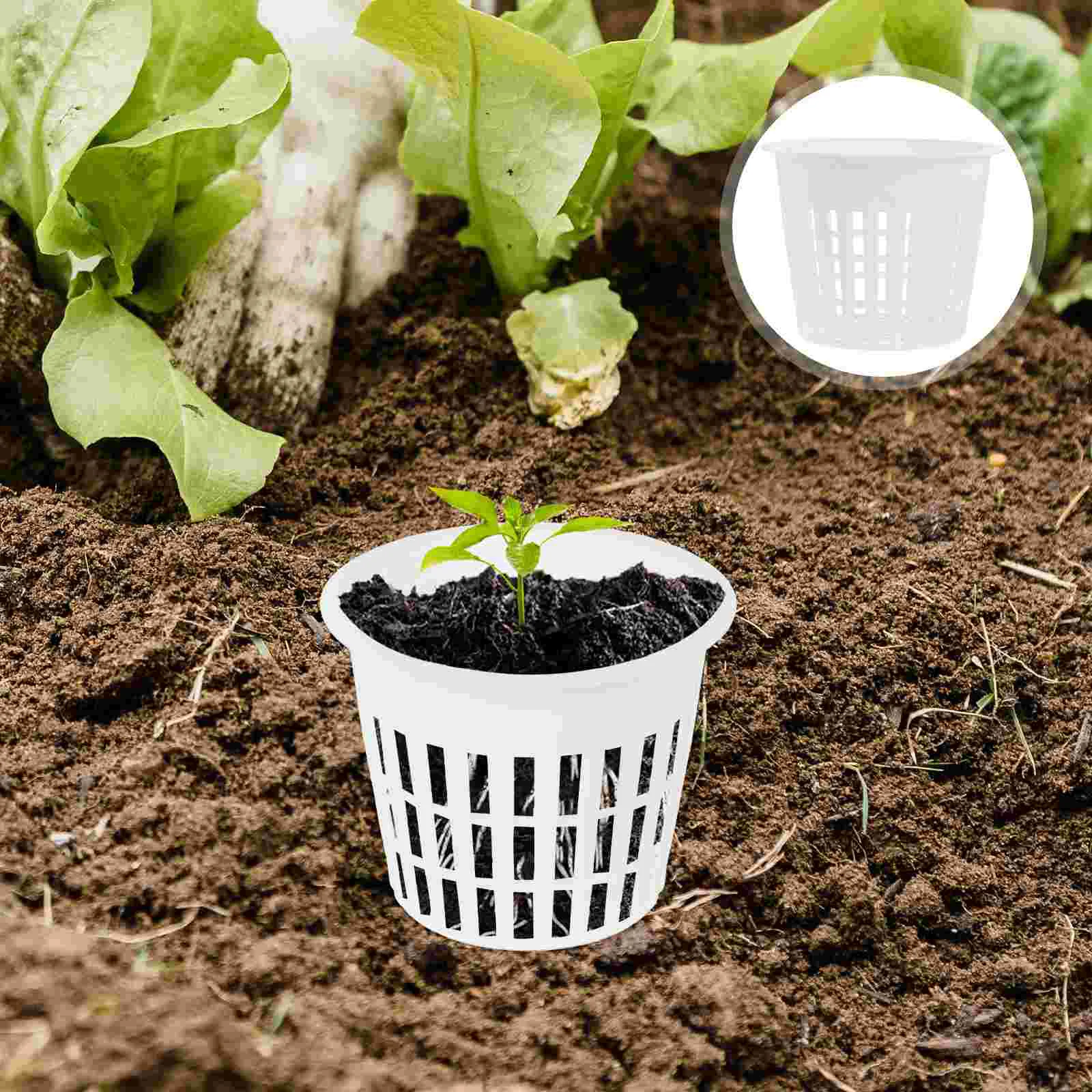 10pcs Plants Net Cups Plastic Nursery Pots Garden Slotted Net Pots Orchid Planter Pots Plastic Hydroponic Baskets Round Mesh Pla
10pcs Plants Net Cups Plastic Nursery Pots Garden Slotted Net Pots Orchid Planter Pots Plastic Hydroponic Baskets Round Mesh Pla