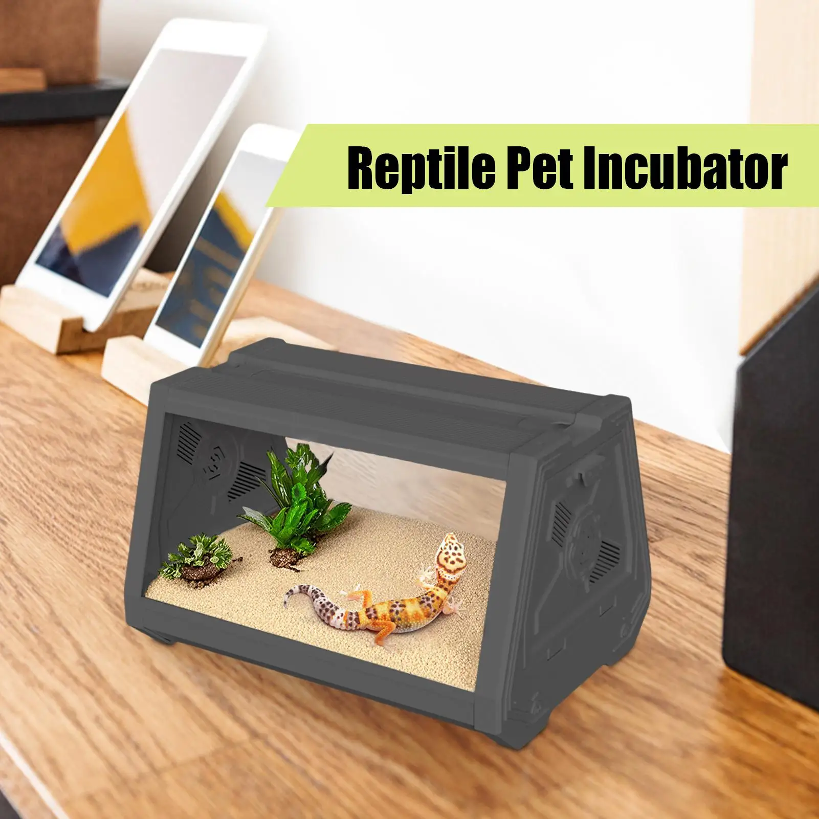 Reptile Terrarium Breathable Leopard Gecko Habitat Tank Trapezoidal Design Expands Viewing Field Reptile Habitat Terrarium
Reptile Terrarium Breathable Leopard Gecko Habitat Tank Trapezoidal Design Expands Viewing Field Reptile Habitat Terrarium