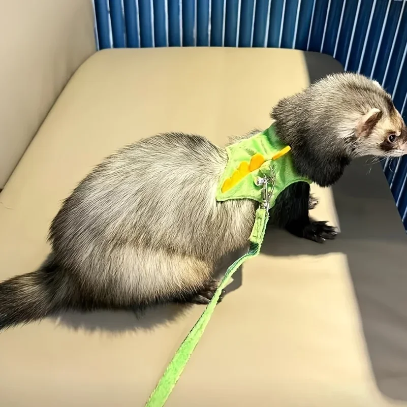 Ferret lead rope Vest type adjustable pet rope Cute dinosaur shape with bell for walking mice
Ferret lead rope Vest type adjustable pet rope Cute dinosaur shape with bell for walking mice