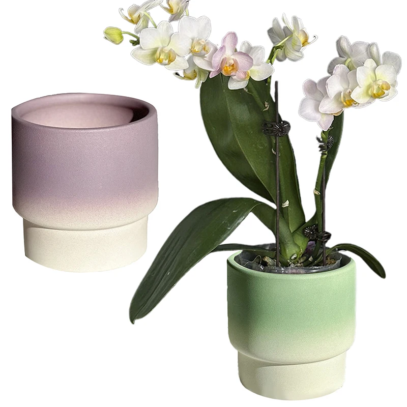 Цветочный горшок, простой орнамент, керамический горшок, домашний декоративный держатель для растений, креативный цветочный горшок для офиса, балкона, двора
Цветочный горшок, простой орнамент, керамический горшок, домашний декоративный держатель для растений, креативный цветочный горшок для офиса, балкона, двора 