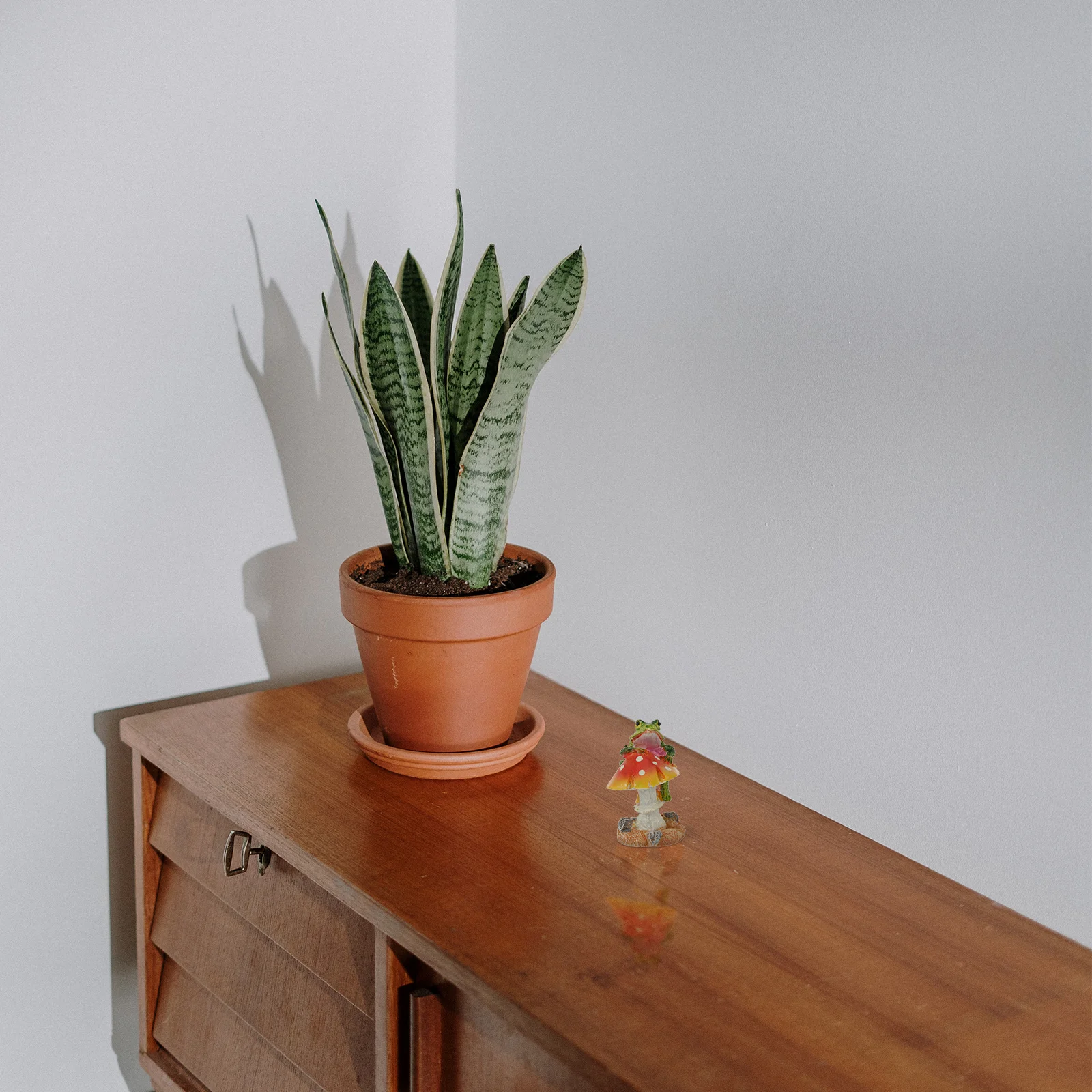 2Pcs Resin Frog Red Mushroom Garden Ornament Small Pot Decoration Animal Sculpture Flowerpot Statue Animal Mushroom Ornament
2Pcs Resin Frog Red Mushroom Garden Ornament Small Pot Decoration Animal Sculpture Flowerpot Statue Animal Mushroom Ornament