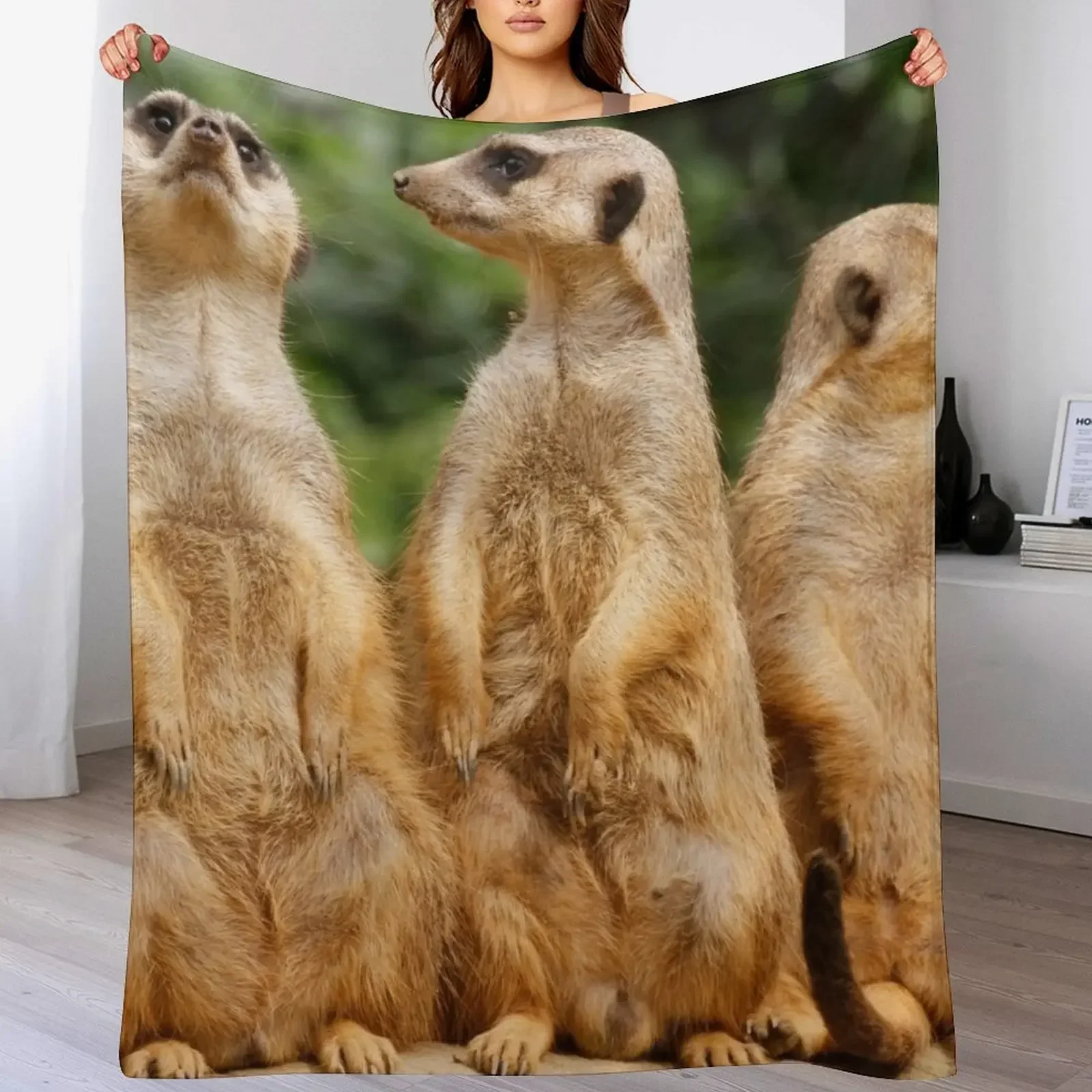 Meerkat 074 Throw Blanket Stylish Decor Blanket Gift for Friends Roommate
Meerkat 074 Throw Blanket Stylish Decor Blanket Gift for Friends Roommate