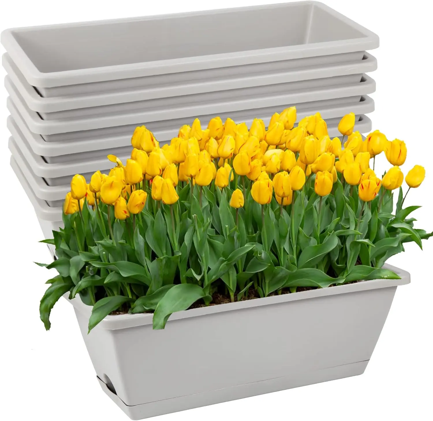 8pcs Window Box Planter with Drainage Holes and Trays, 17 Inches Rectangle Planters for Windowsill Patio Garden Home Decor
8pcs Window Box Planter with Drainage Holes and Trays, 17 Inches Rectangle Planters for Windowsill Patio Garden Home Decor