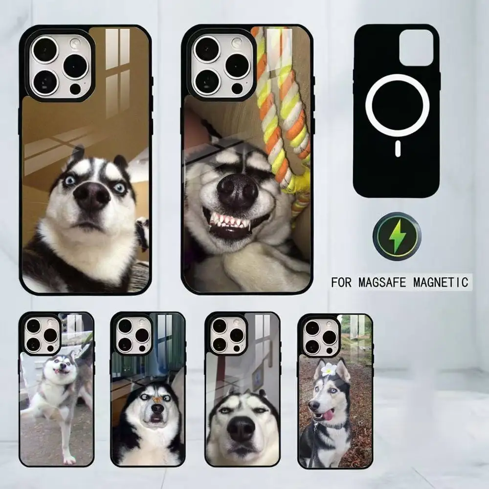 Siberian Husky Dog Funny Phone Case For iPhone17,16,15,14,13,12,11 Plus,Pro Magnetic For Magsafe Wireless Charging
Siberian Husky Dog Funny Phone Case For iPhone17,16,15,14,13,12,11 Plus,Pro Magnetic For Magsafe Wireless Charging