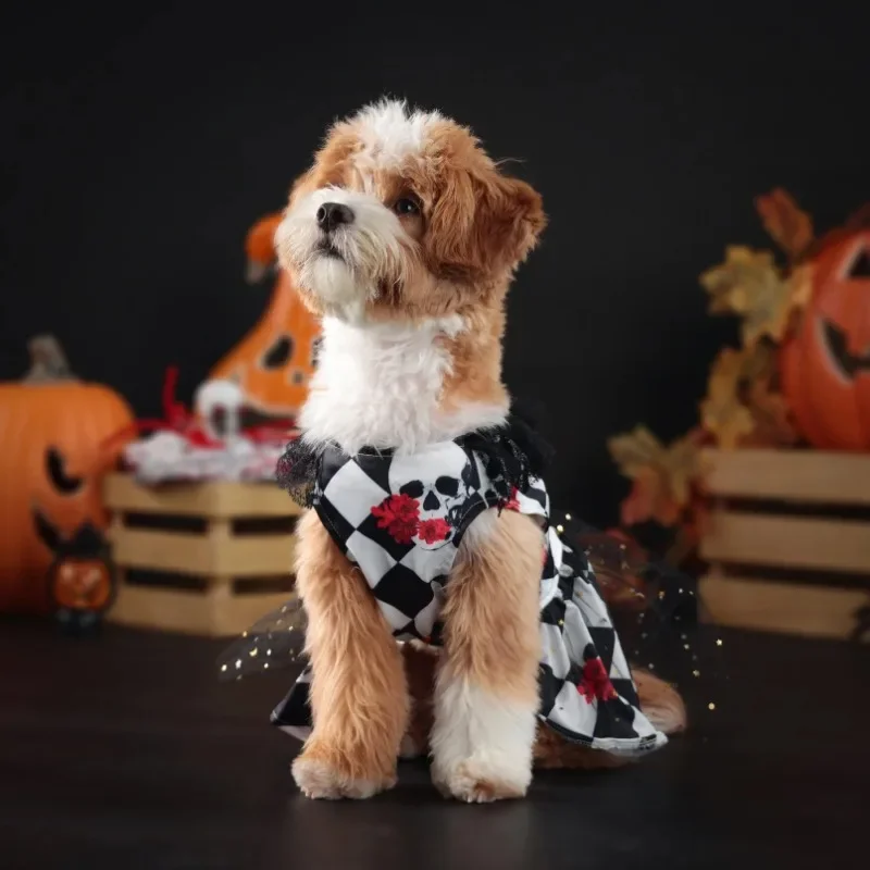 New Fun Dog Halloween Costume Pet Lace Hair Proof Dress Dog Clothes Gift Dog Dress
New Fun Dog Halloween Costume Pet Lace Hair Proof Dress Dog Clothes Gift Dog Dress