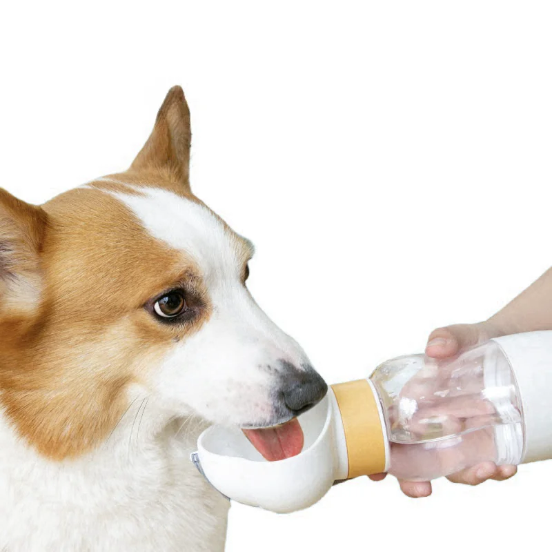 2 in 1 Pet Dog Portable Water Bowl Food Feeder Bottle Dispenser For Puppy and Cat Outdoor Drinking
2 in 1 Pet Dog Portable Water Bowl Food Feeder Bottle Dispenser For Puppy and Cat Outdoor Drinking