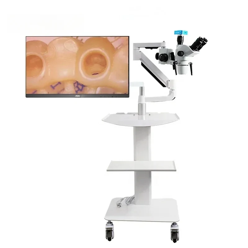 Cheap Portle Zumax Microscope with LED Light Sourc and Long Working Dnce
Cheap Portle Zumax Microscope with LED Light Sourc and Long Working Dnce