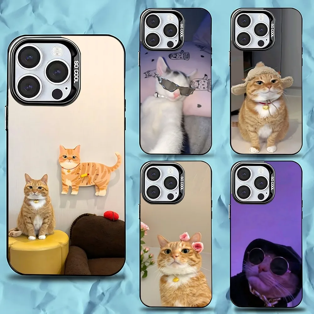 Cool Cute Funny Cat Phone Case For iPhone 16,15,14,13,12,11,Pro,Max,Plus,Mini,XS,SE Anti Fall Black Matte Hard Bumper
Cool Cute Funny Cat Phone Case For iPhone 16,15,14,13,12,11,Pro,Max,Plus,Mini,XS,SE Anti Fall Black Matte Hard Bumper