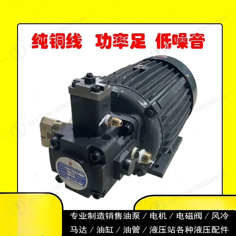0.75KW 1.5KW 2.2KW Hydraulic Vane Pump Motor Group VP15 VP20 VP30 Oil Pump Unit for Machine Tool and Injection Molding
0.75KW 1.5KW 2.2KW Hydraulic Vane Pump Motor Group VP15 VP20 VP30 Oil Pump Unit for Machine Tool and Injection Molding
