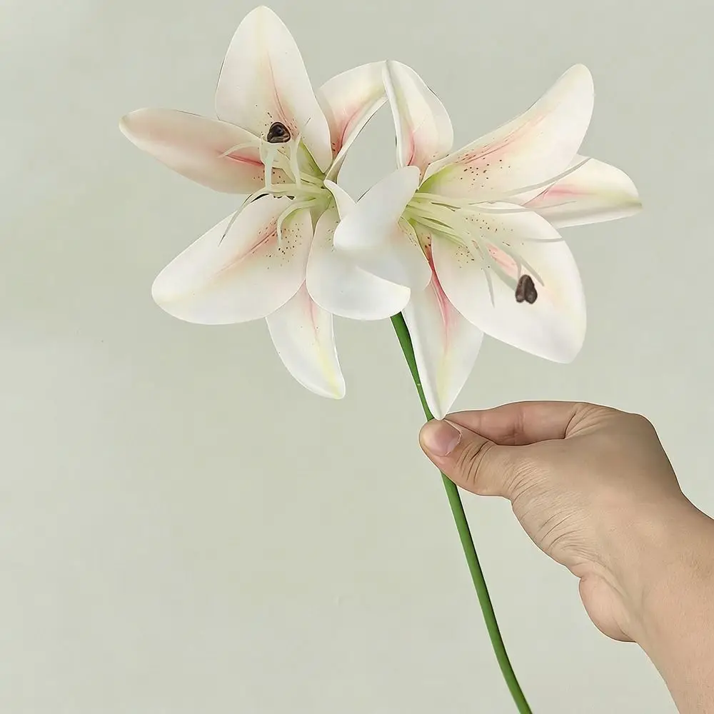 12 Heads Artificial Lilis Floral Arrangement DIY Flower Simulation Flowers Realistic Multicolor Flower Bouquet Photography Props
12 Heads Artificial Lilis Floral Arrangement DIY Flower Simulation Flowers Realistic Multicolor Flower Bouquet Photography Props