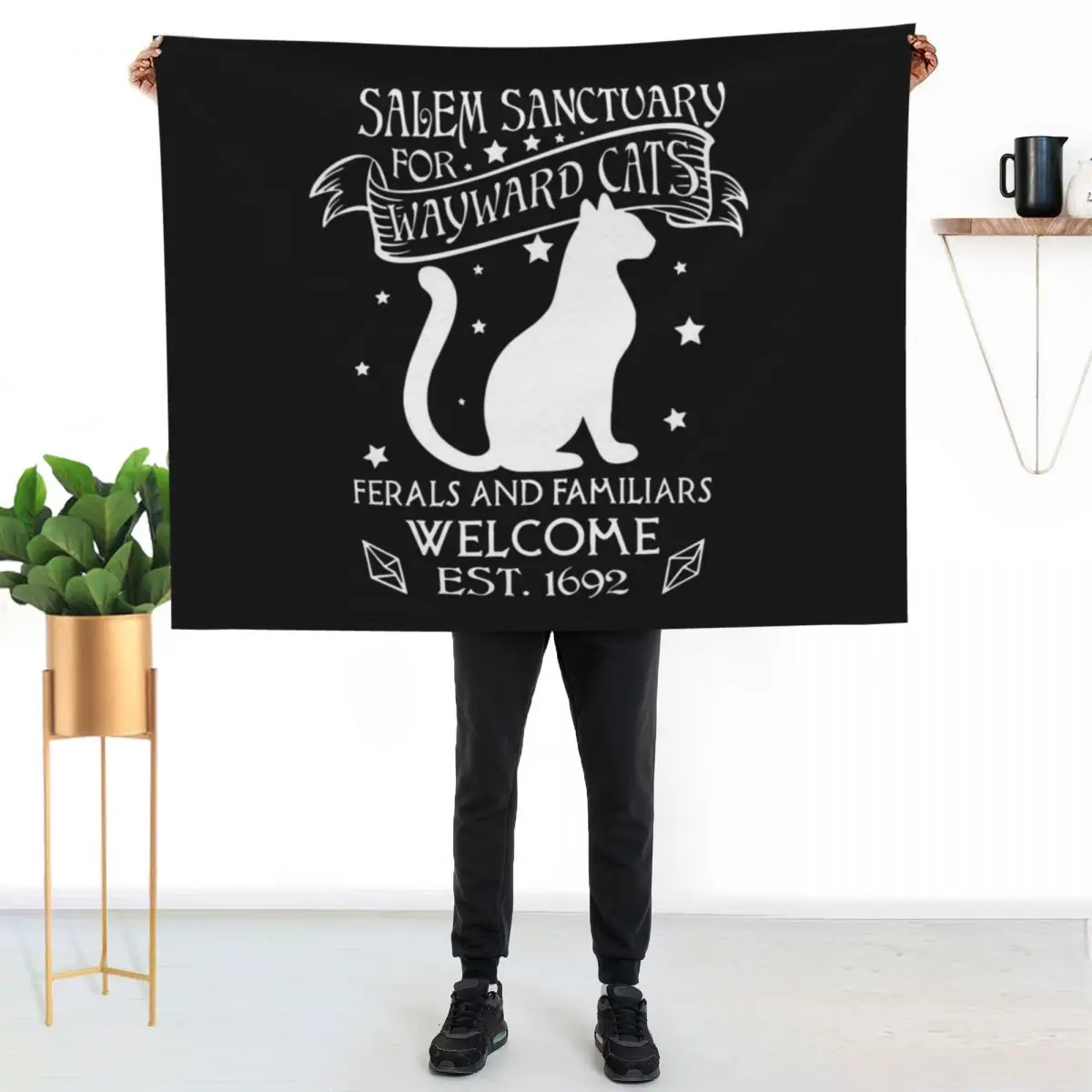 Salem sanctuary for wayward cats Ferals and familiars welcome est 1692 Throw Blanket
Salem sanctuary for wayward cats Ferals and familiars welcome est 1692 Throw Blanket