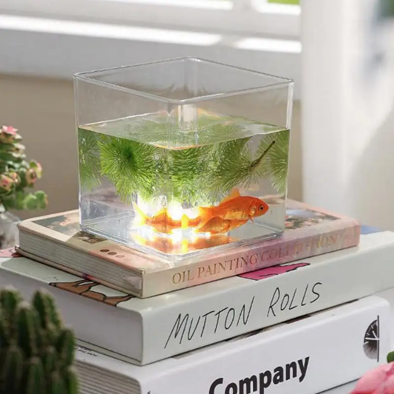 Квадратные/круглые прозрачные акриловые горшки для цветов, горшки для бонсай, настольные украшения для сада, двора, гостиной, балкона
Квадратные/круглые прозрачные акриловые горшки для цветов, горшки для бонсай, настольные украшения для сада, двора, гостиной, балкона