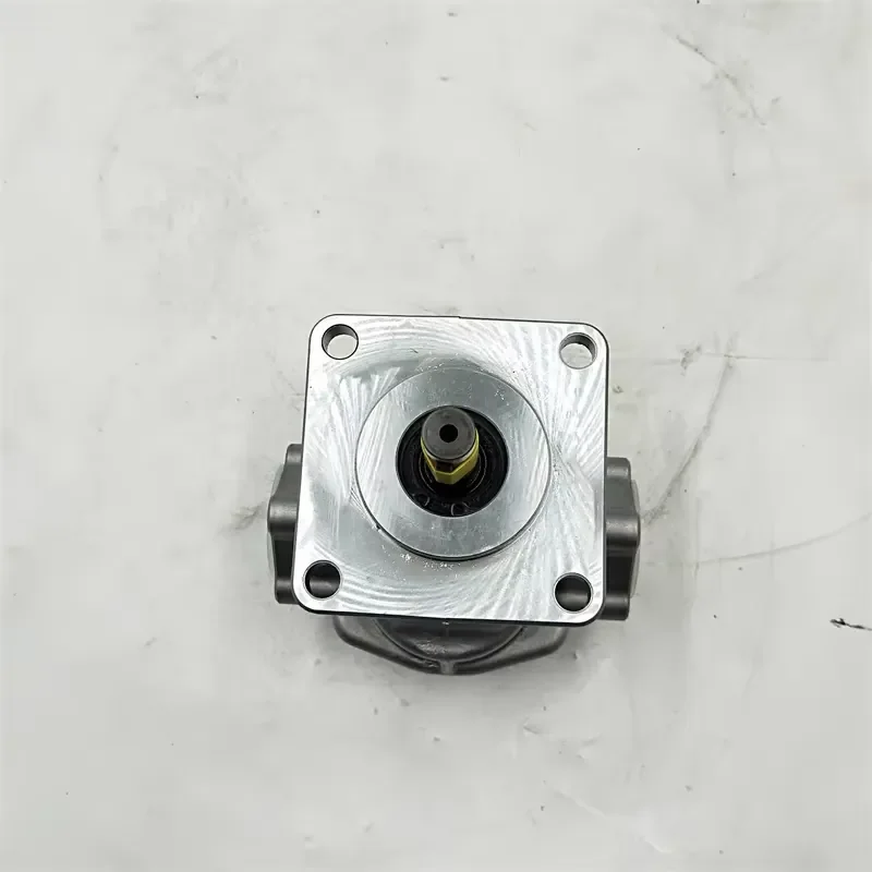 Hydraulic Gear Pump YP15 YP10 YPD1 Series YP10-1.7A2D2-L405 YP10-1.7L405
Hydraulic Gear Pump YP15 YP10 YPD1 Series YP10-1.7A2D2-L405 YP10-1.7L405