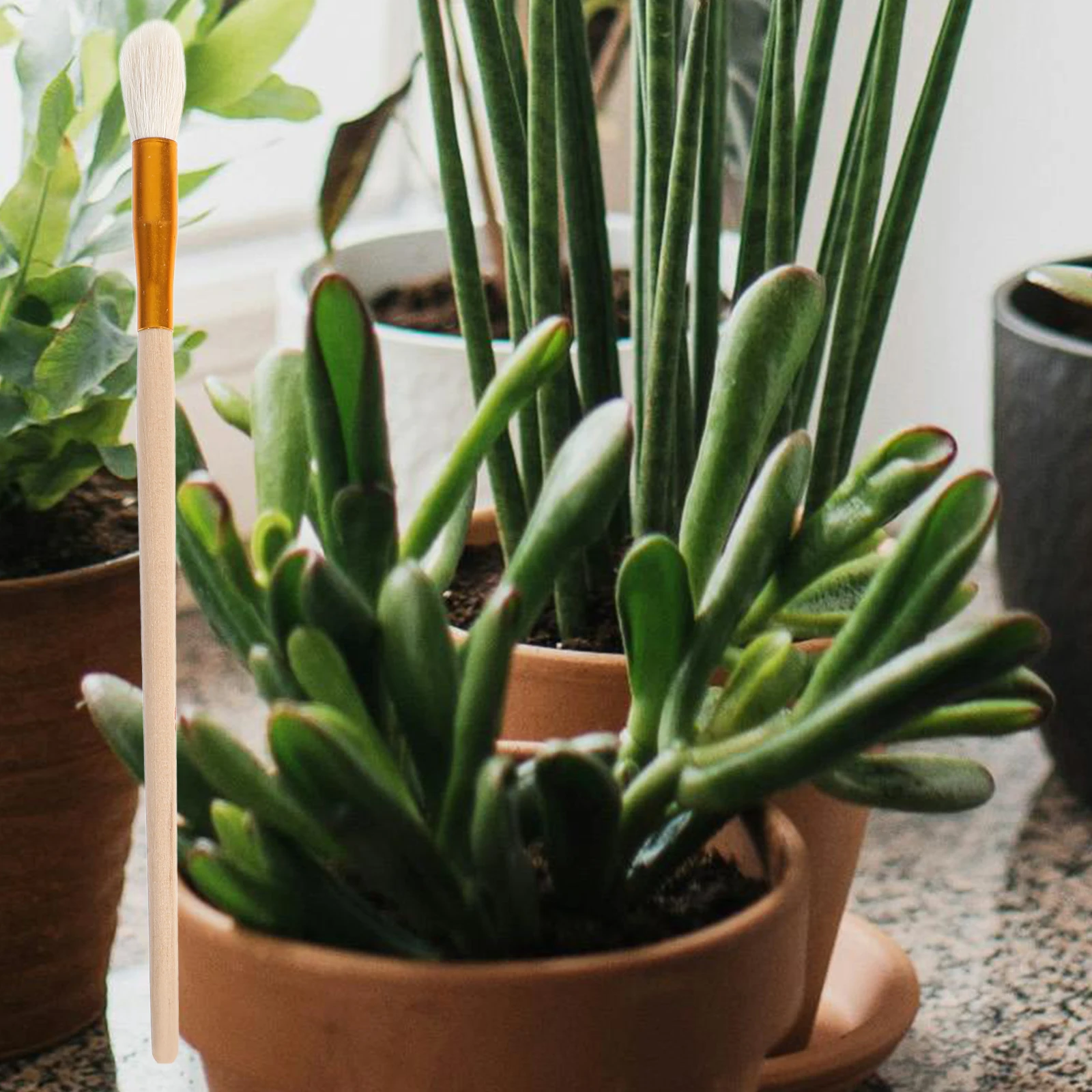 5Pcs Pollination Brush Kit for Potted Plants Manual Pollinator Tool Garden Fruit Tree Pollinating Brush Supplies
5Pcs Pollination Brush Kit for Potted Plants Manual Pollinator Tool Garden Fruit Tree Pollinating Brush Supplies