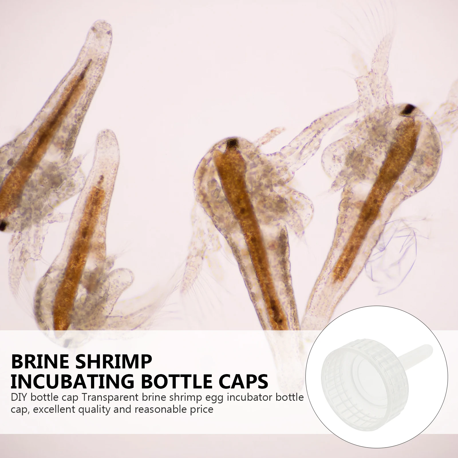 20Pcs Shrimp Hatchery Bottle Caps Premium Reusable Breeding Tool for Brine Shrimp Incubating in Soda Bottles Easy Clean Design
20Pcs Shrimp Hatchery Bottle Caps Premium Reusable Breeding Tool for Brine Shrimp Incubating in Soda Bottles Easy Clean Design