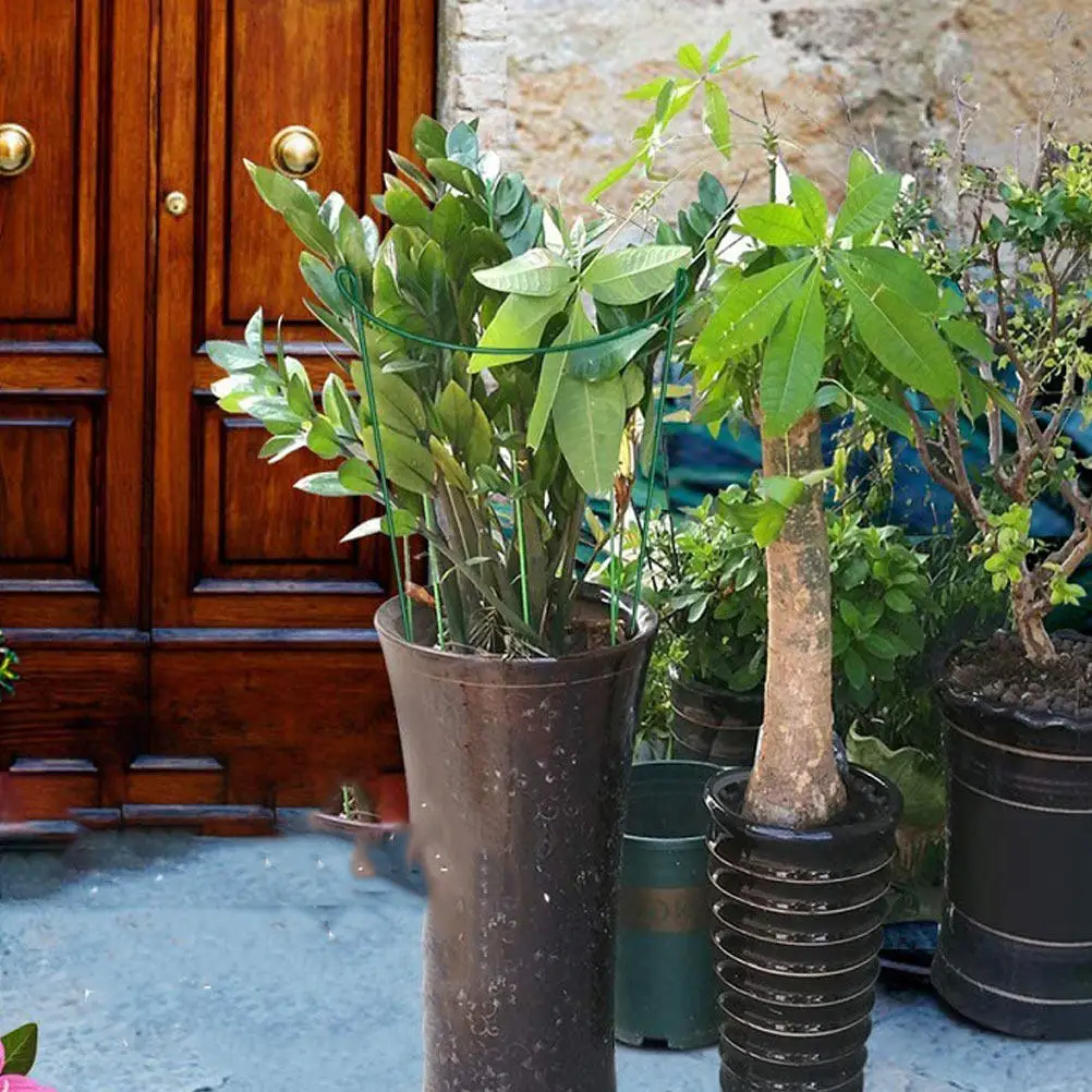 6Pcs Iron Plant Supports Half Round Design Plant Bracket for Upright Growth Garden Plants Climbing Rack Flower Support Frame
6Pcs Iron Plant Supports Half Round Design Plant Bracket for Upright Growth Garden Plants Climbing Rack Flower Support Frame