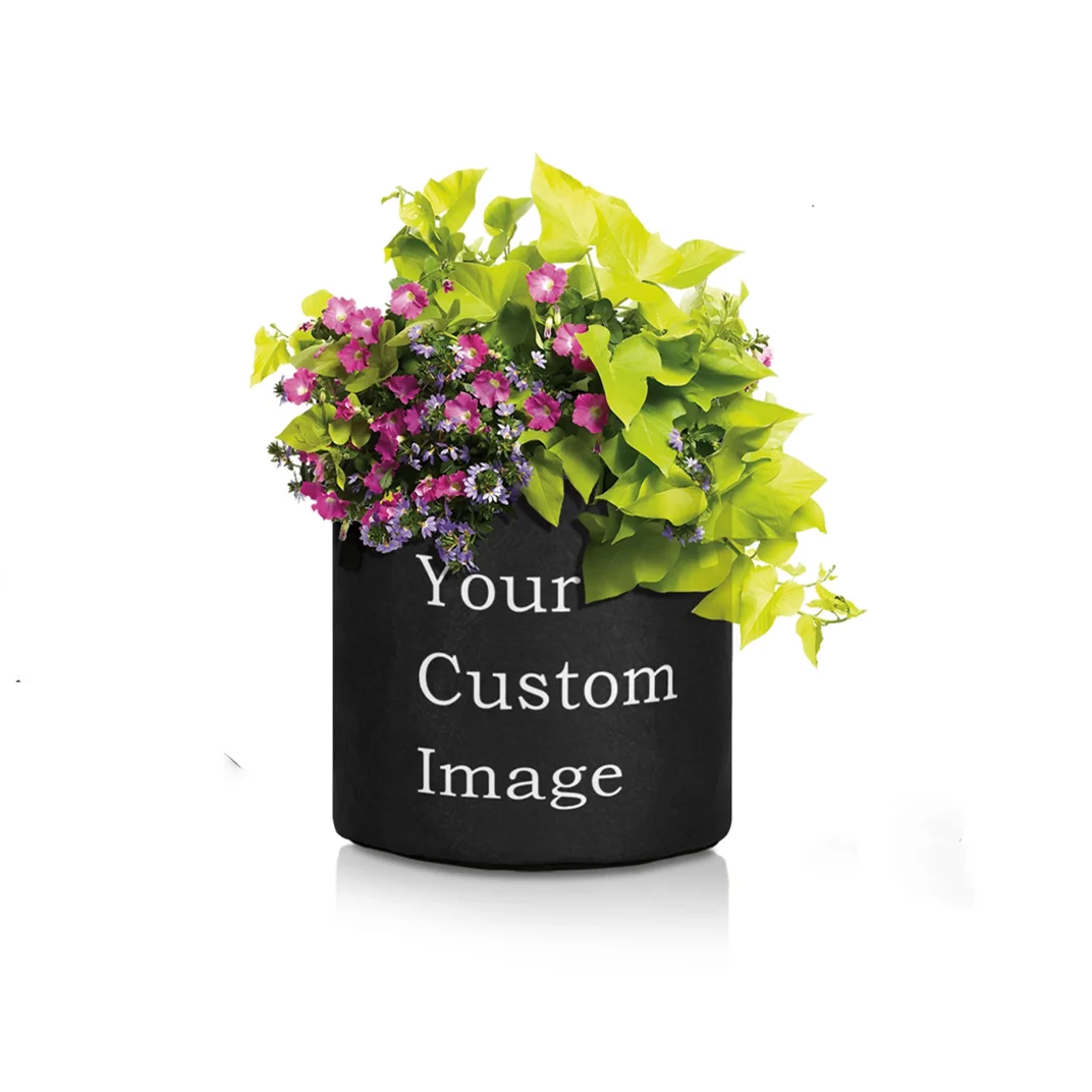 Custom Plant Grow Bag 450g Thick Felt Cloth Planting Bag Durable Breathable Fabric DIY Your Garden For Vegetable Fruit Flower
Custom Plant Grow Bag 450g Thick Felt Cloth Planting Bag Durable Breathable Fabric DIY Your Garden For Vegetable Fruit Flower