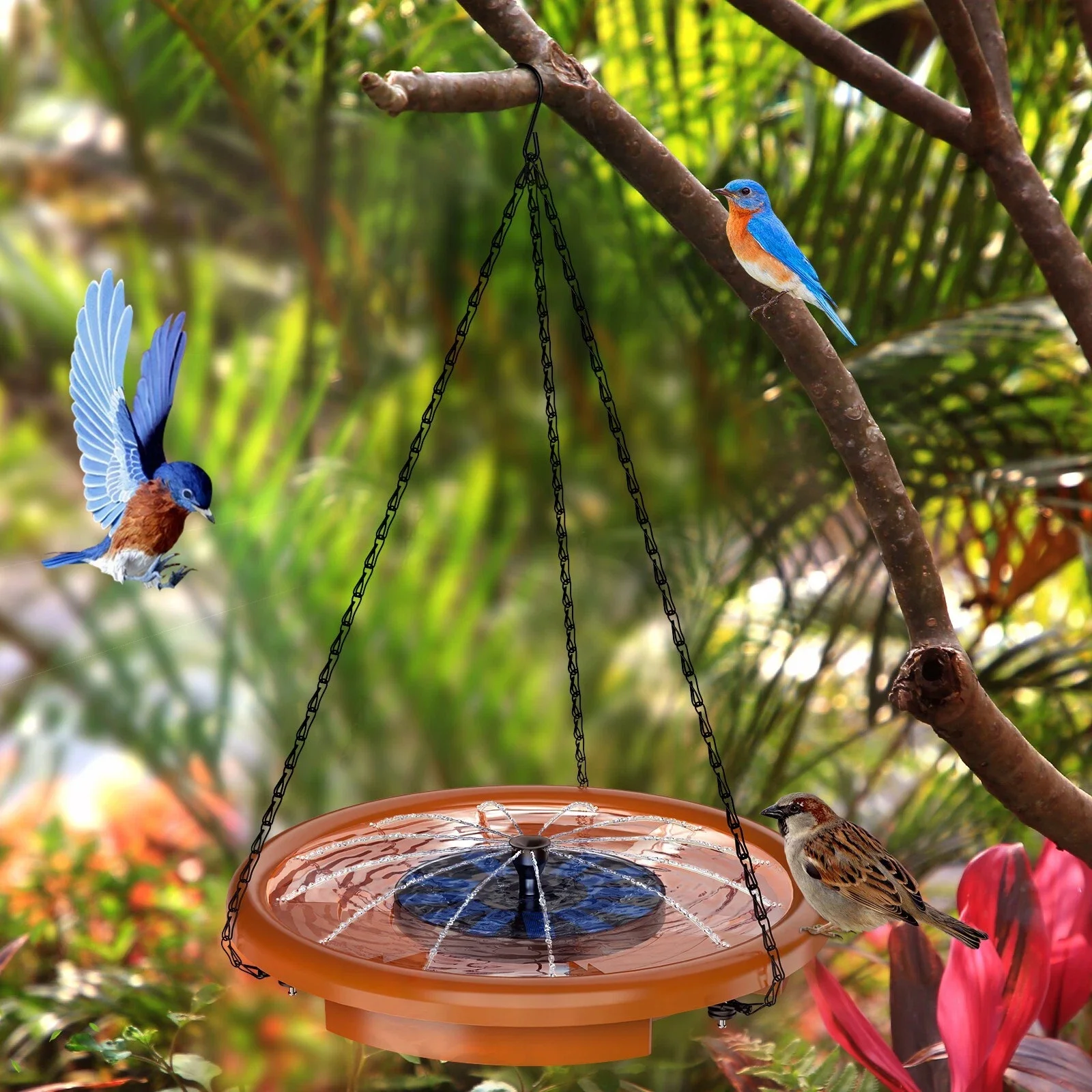 Hanging Bird Bath with Solar Fountain Pump,for Bird Bath, Feeder and Drinking
Hanging Bird Bath with Solar Fountain Pump,for Bird Bath, Feeder and Drinking
