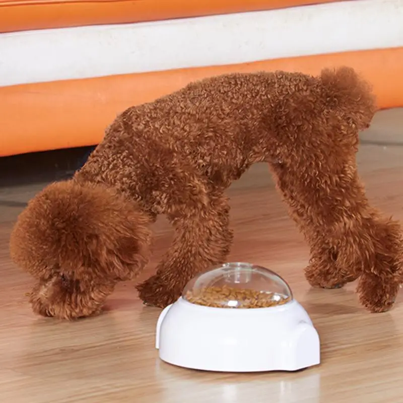 Interactive Dog Treat Dispenser Puppy Treat Rolling Dispenser Puzzle Tough Slow Feeder Puppy Enrichment Training Toy For Brain
Interactive Dog Treat Dispenser Puppy Treat Rolling Dispenser Puzzle Tough Slow Feeder Puppy Enrichment Training Toy For Brain