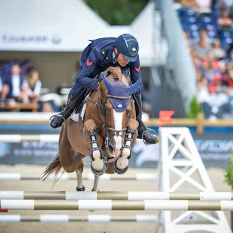 Профессиональные палки для прыжков на лошадях, подставки для верховой езды, практики Arenas, соревновательные мероприятия для прыжков на конный спорт, прыжки на лошадях
Профессиональные палки для прыжков на лошадях, подставки для верховой езды, практики Arenas, соревновательные мероприятия для прыжков на конный спорт, прыжки на лошадях