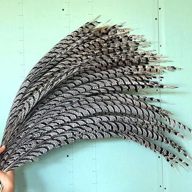10 шт., перья хвоста фазана, 60-90 см, натуральные длинные DIY, украшение для свадебного танца, карнавальный костюм, вечерние маски, украшение
10 шт., перья хвоста фазана, 60-90 см, натуральные длинные DIY, украшение для свадебного танца, карнавальный костюм, вечерние маски, украшение