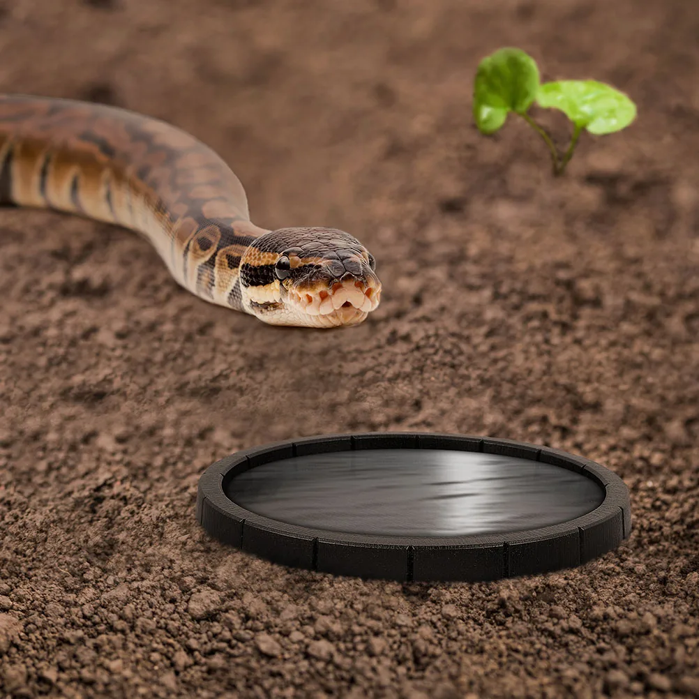 4pcs Pet Water Dishes Lizards Food Bowls Plastic Food Bowls Reptile Water Dish Feeding Container Turtle Small Animals Reptile
4pcs Pet Water Dishes Lizards Food Bowls Plastic Food Bowls Reptile Water Dish Feeding Container Turtle Small Animals Reptile