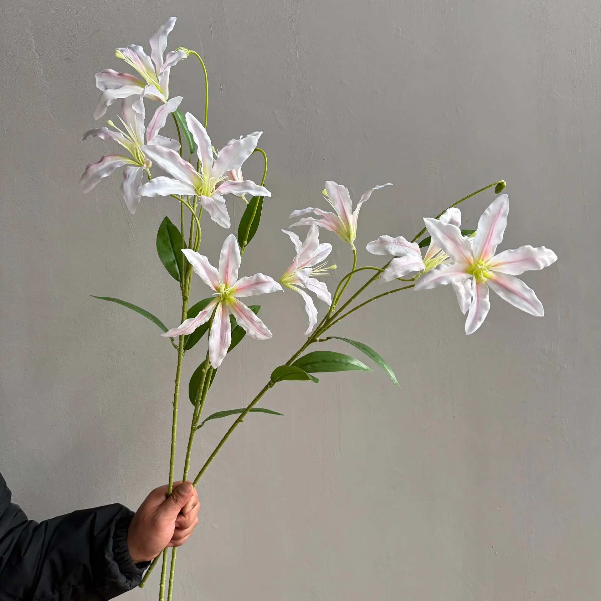 5Pcs Artificial 3D Printing Lily Flowers Fabric Flower Home Decoration Wedding Background Floral Arrangement Photography Props
5Pcs Artificial 3D Printing Lily Flowers Fabric Flower Home Decoration Wedding Background Floral Arrangement Photography Props