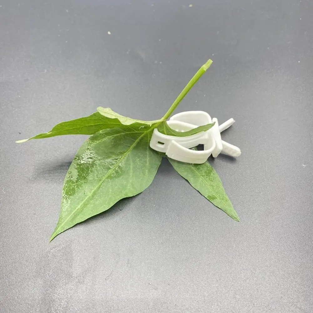 Budgie Parakeet Vegetable Plastic Small Animals Fruit Parrot Feeder Cuttlebone Clip Bird Food Holders Feeding Clamp
Budgie Parakeet Vegetable Plastic Small Animals Fruit Parrot Feeder Cuttlebone Clip Bird Food Holders Feeding Clamp